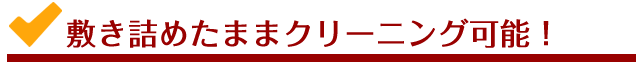 敷き詰めたままクリーニング可能！